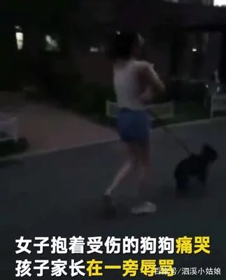 成全在线观看免费完整版第6